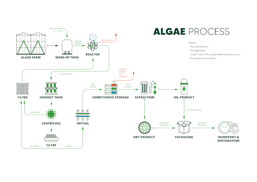 Algae Proces PNG